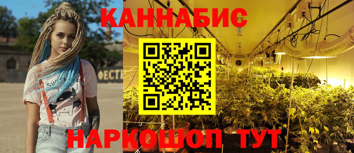 Бошки марихуана планчик  Вход с VPN  Канабис Amnesia  Каннабис индика  Новоуральск 